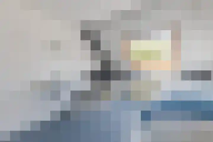 Tjalk 40 Broek op Langedijk thumbnail 22