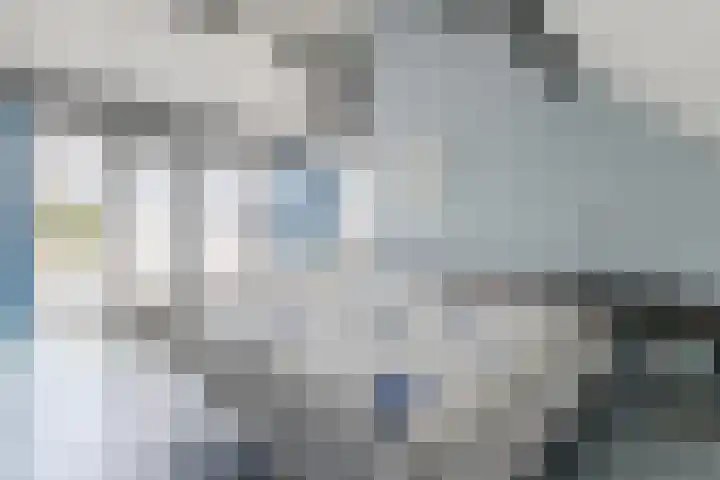 Tjalk 40 Broek op Langedijk thumbnail 30
