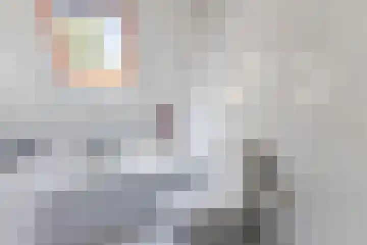 Tjalk 40 Broek op Langedijk thumbnail 34