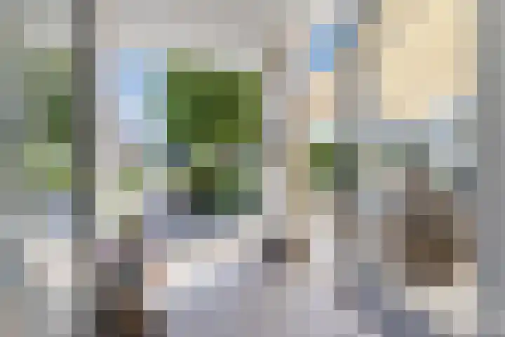 Tjalk 40 Broek op Langedijk thumbnail 40
