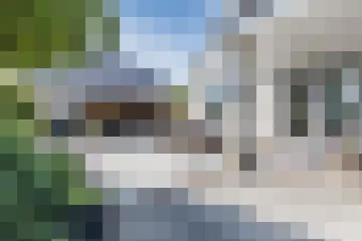 Tjalk 40 Broek op Langedijk thumbnail 43