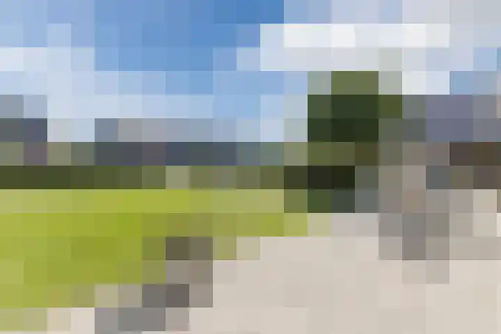 Tjalk 40 Broek op Langedijk thumbnail 45