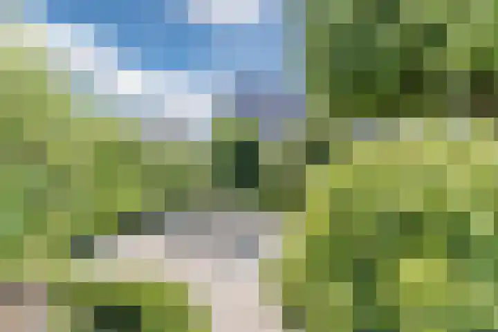 Tjalk 40 Broek op Langedijk thumbnail 46