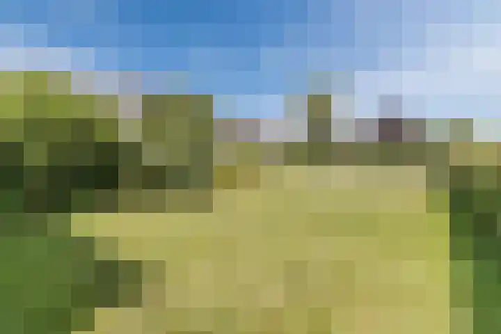 Tjalk 40 Broek op Langedijk thumbnail 48