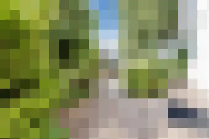 Tjalk 40 Broek op Langedijk thumbnail 49
