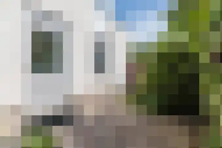 Tjalk 40 Broek op Langedijk thumbnail 50