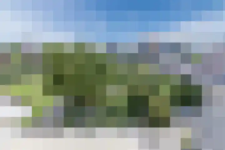 Tjalk 40 Broek op Langedijk thumbnail 51