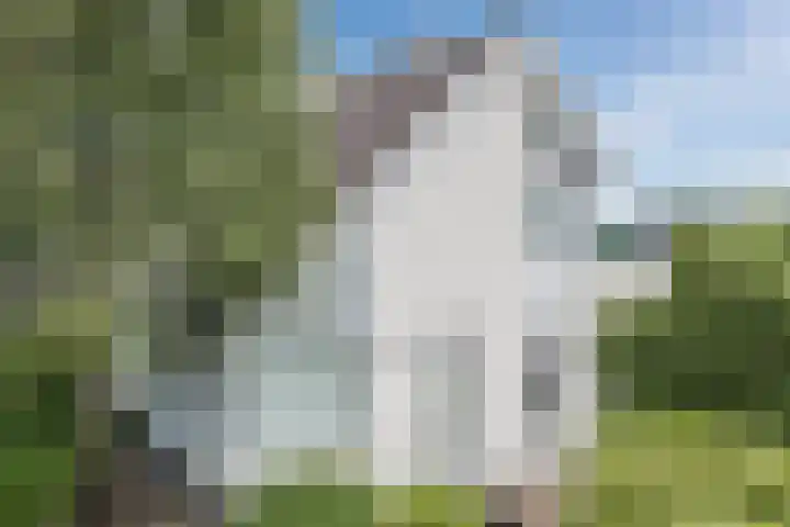 Tjalk 40 Broek op Langedijk thumbnail 52