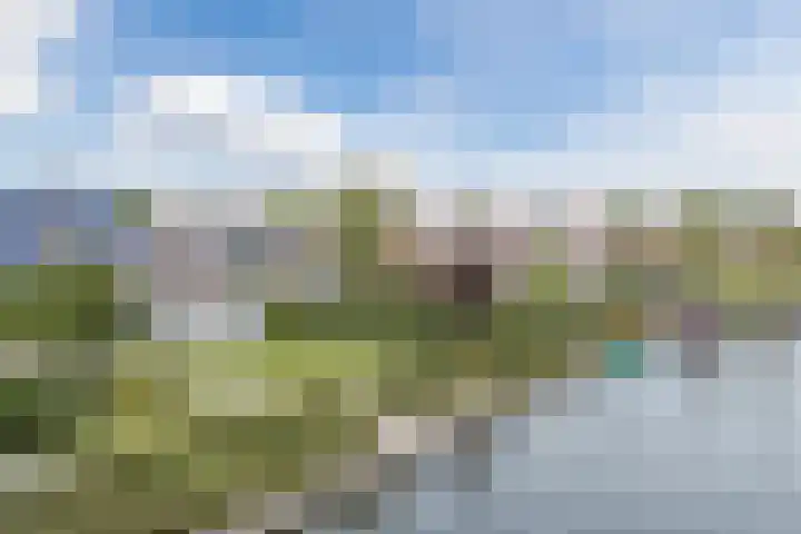 Tjalk 40 Broek op Langedijk thumbnail 54