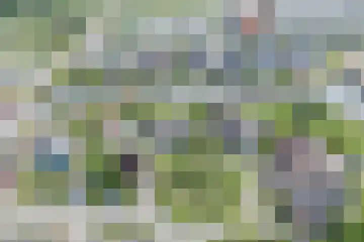 Tjalk 40 Broek op Langedijk thumbnail 56