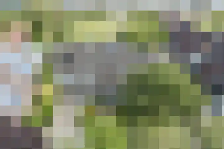 Tjalk 40 Broek op Langedijk thumbnail 57