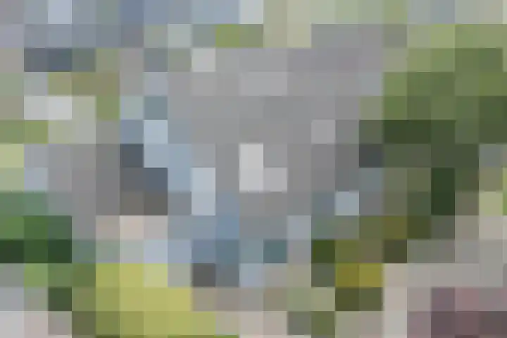 Tjalk 40 Broek op Langedijk thumbnail 58