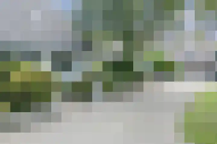 Tjalk 40 Broek op Langedijk thumbnail 60