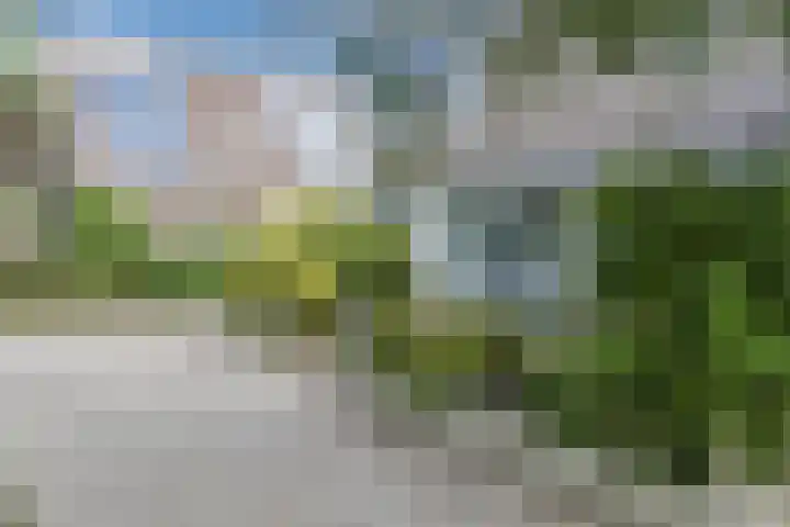 Tjalk 40 Broek op Langedijk thumbnail 61