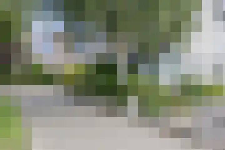 Tjalk 40 Broek op Langedijk thumbnail 62