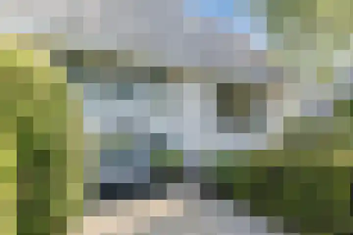 Tjalk 40 Broek op Langedijk thumbnail 64