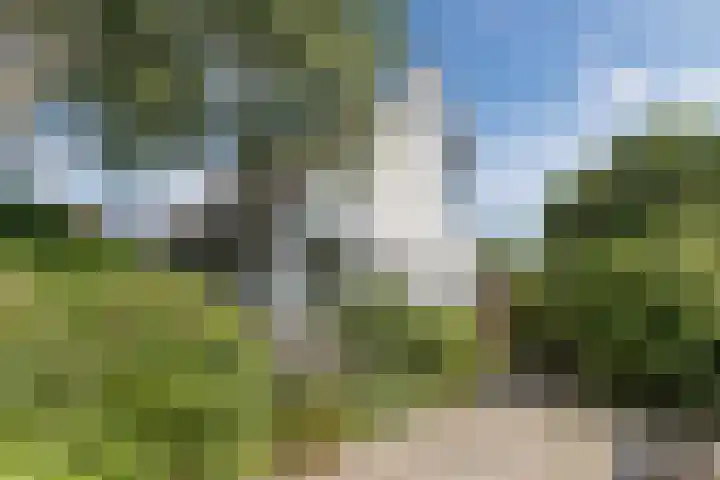 Tjalk 40 Broek op Langedijk thumbnail 65