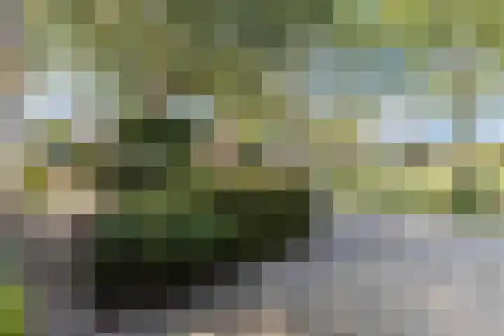 Tjalk 40 Broek op Langedijk thumbnail 66