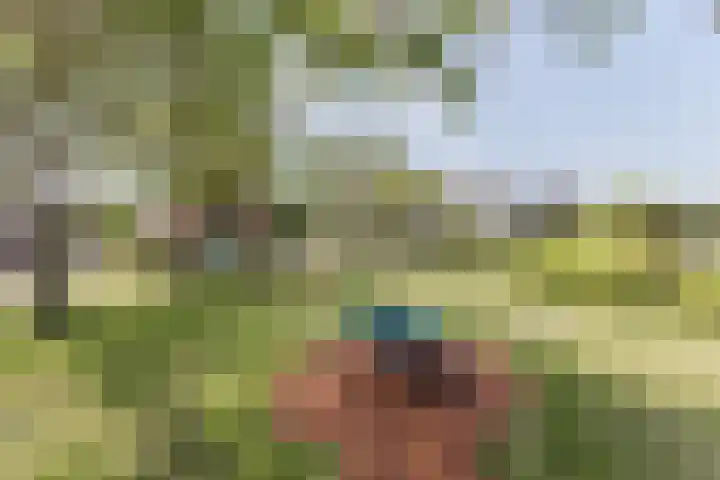 Tjalk 40 Broek op Langedijk thumbnail 67