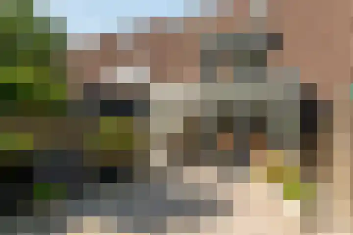 Tjalk 44 Hoorn thumbnail 16