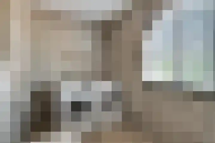 Tjalk 44 Hoorn thumbnail 31