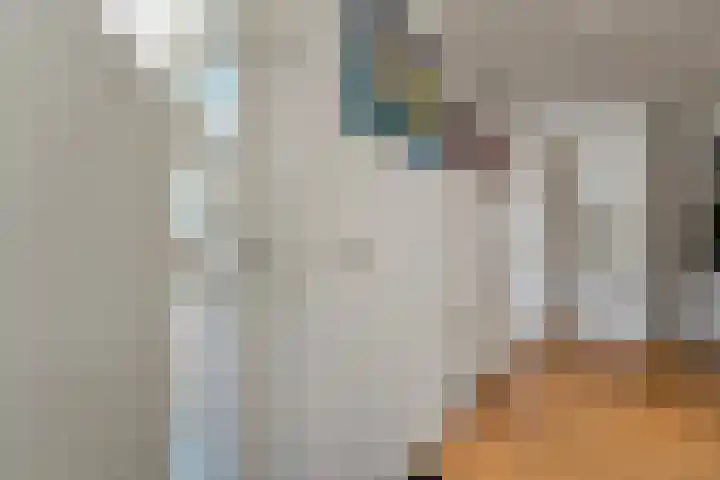 Tjalk 49 Schipluiden thumbnail 14