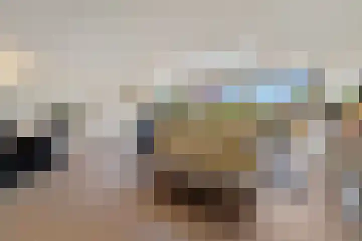 Tjalk 49 Schipluiden thumbnail 18