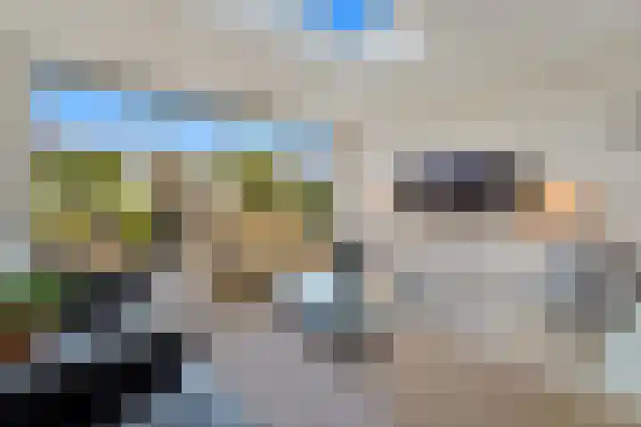Tjalk 49 Schipluiden thumbnail 20