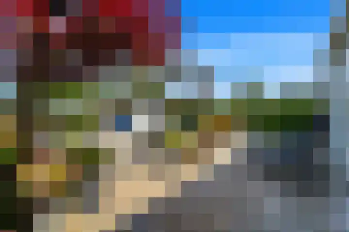 Tjalk 49 Schipluiden thumbnail 21