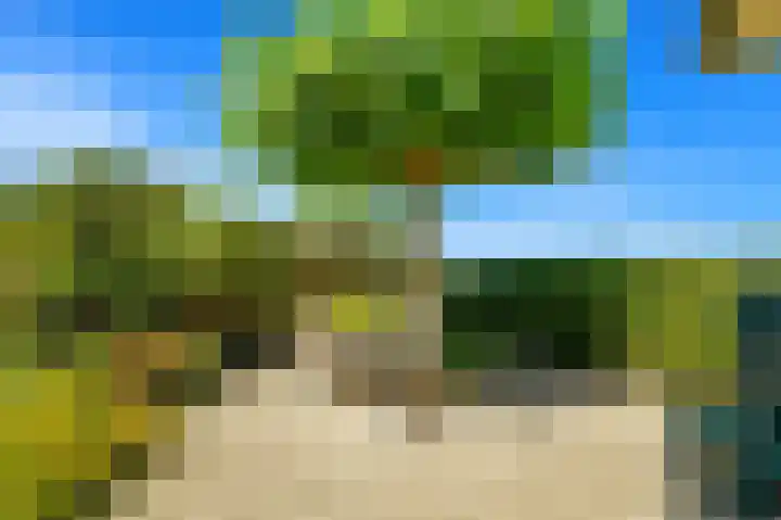 Tjalk 49 Schipluiden thumbnail 23
