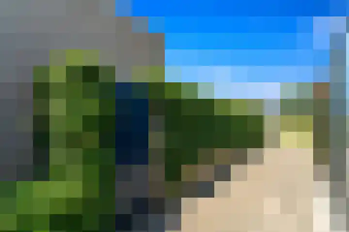 Tjalk 49 Schipluiden thumbnail 28