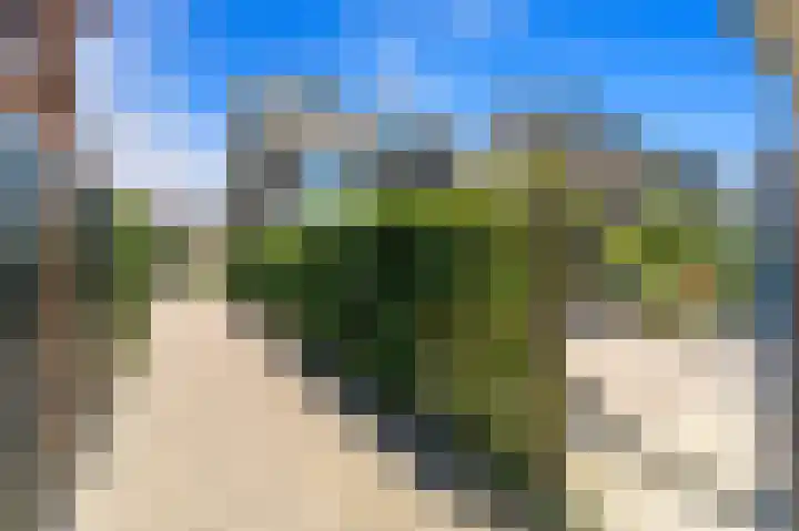 Tjalk 49 Schipluiden thumbnail 29