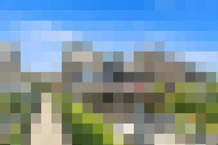 Tjalk 49 Schipluiden thumbnail 30