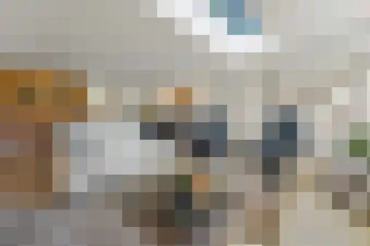 Tjalk 49 Schipluiden thumbnail 33