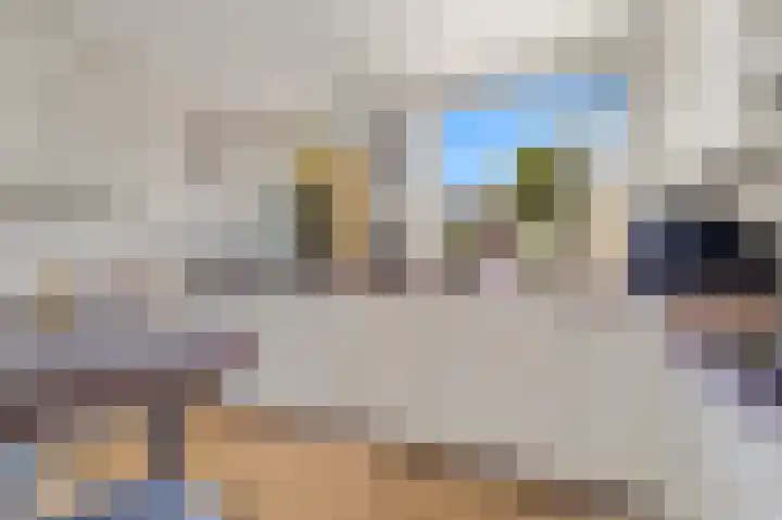 Tjalk 49 Schipluiden thumbnail 39