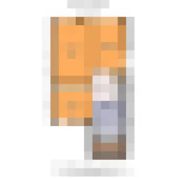 Tjalk 49 Schipluiden thumbnail 45