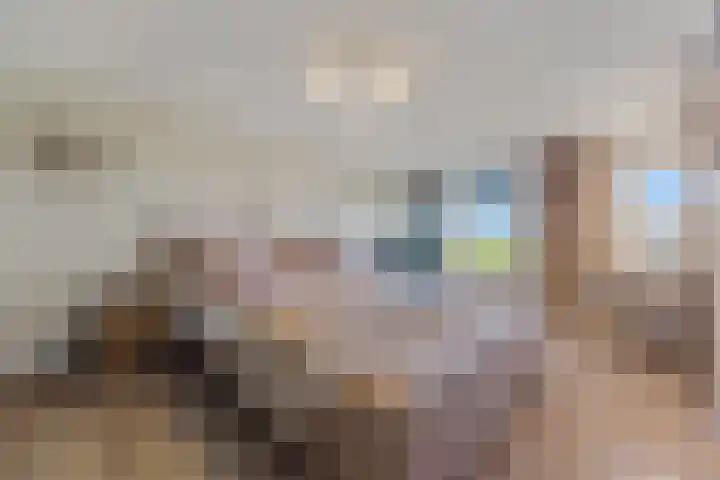 Tjalk 49 Schipluiden thumbnail 47