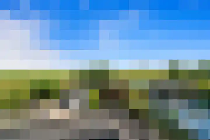 Tjalk 49 Schipluiden thumbnail 49