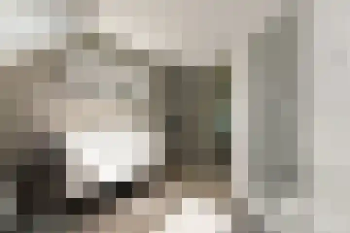 Tjalk 49 Schipluiden thumbnail 57