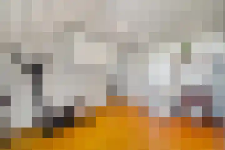 Tjalk 49 Schipluiden thumbnail 65