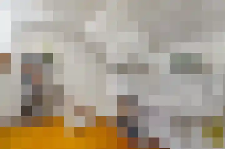 Tjalk 49 Schipluiden thumbnail 66