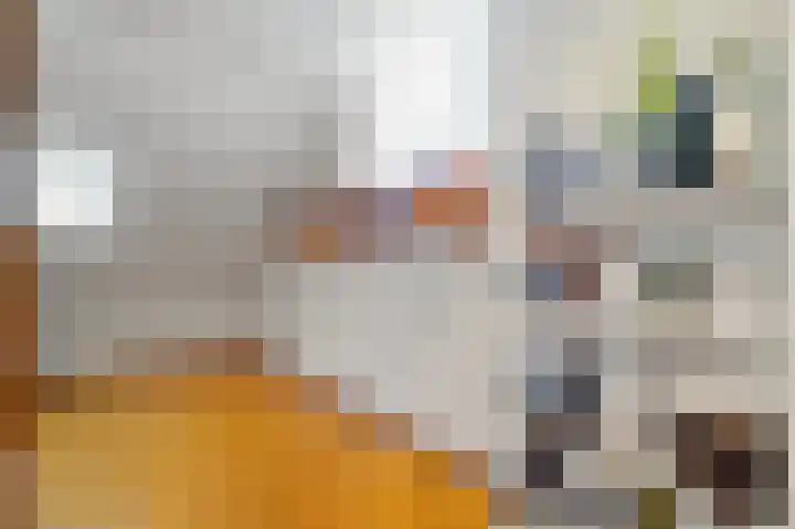 Tjalk 49 Schipluiden thumbnail 67