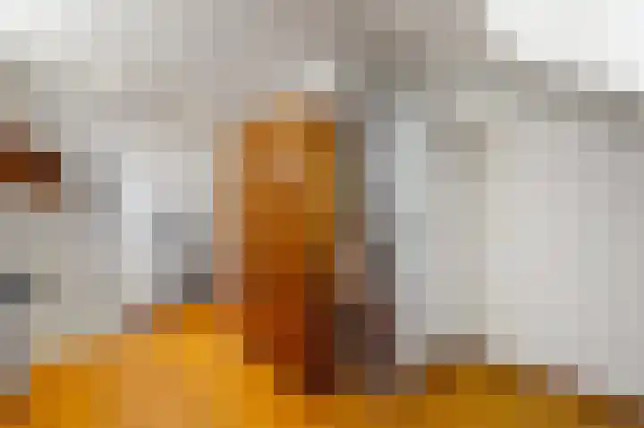 Tjalk 49 Schipluiden thumbnail 68
