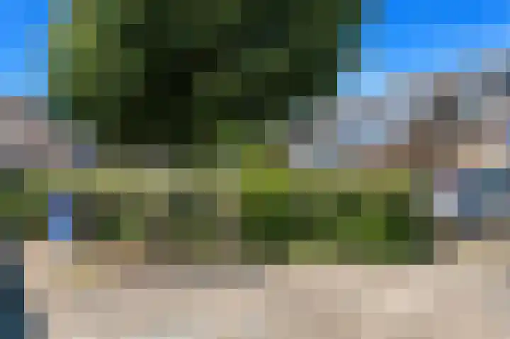 Tjalk 49 Schipluiden thumbnail 73