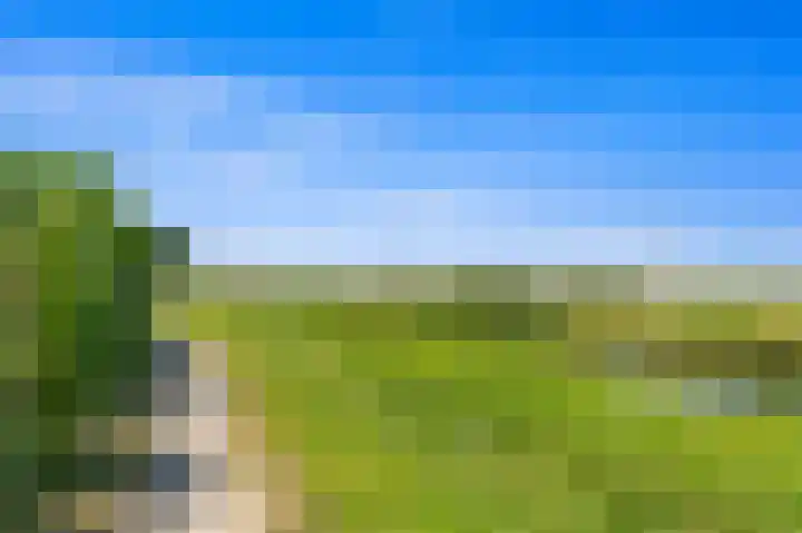 Tjalk 49 Schipluiden thumbnail 74