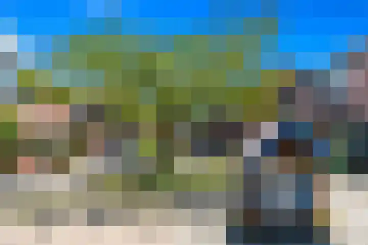 Tjalk 49 Schipluiden thumbnail 75