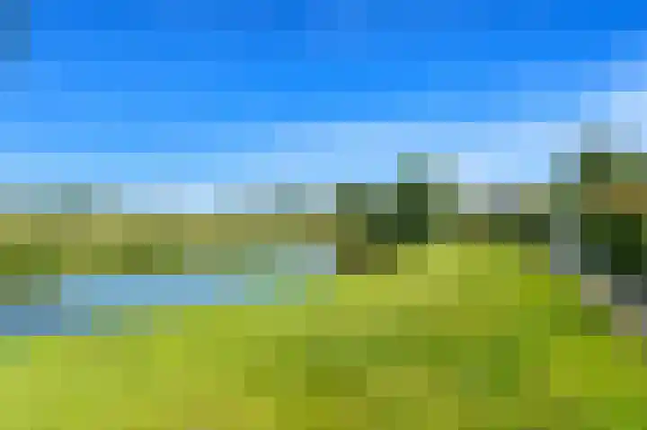 Tjalk 49 Schipluiden thumbnail 76