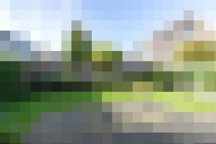 Tjalk 50 Zuidhorn thumbnail 13