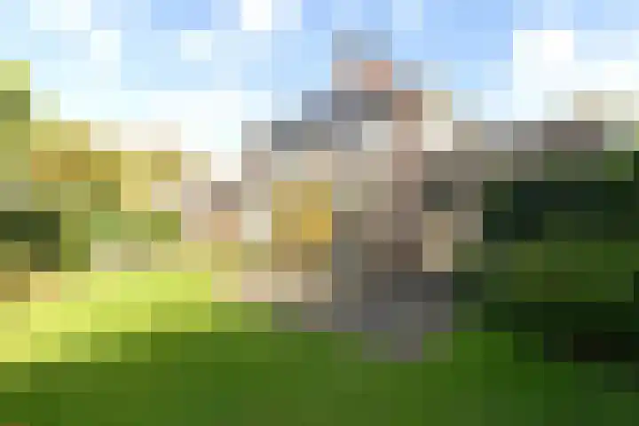 Tjalk 50 Zuidhorn thumbnail 16