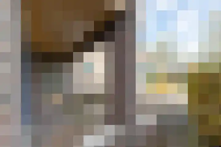 Tjalk 50 Zuidhorn thumbnail 35